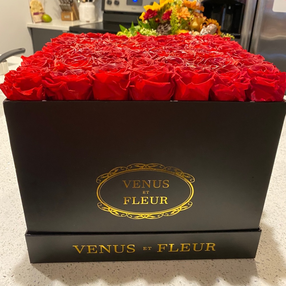 Venus Et Fleur Large Square Box in Red